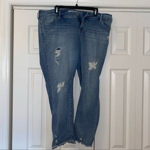 Torrid jeans